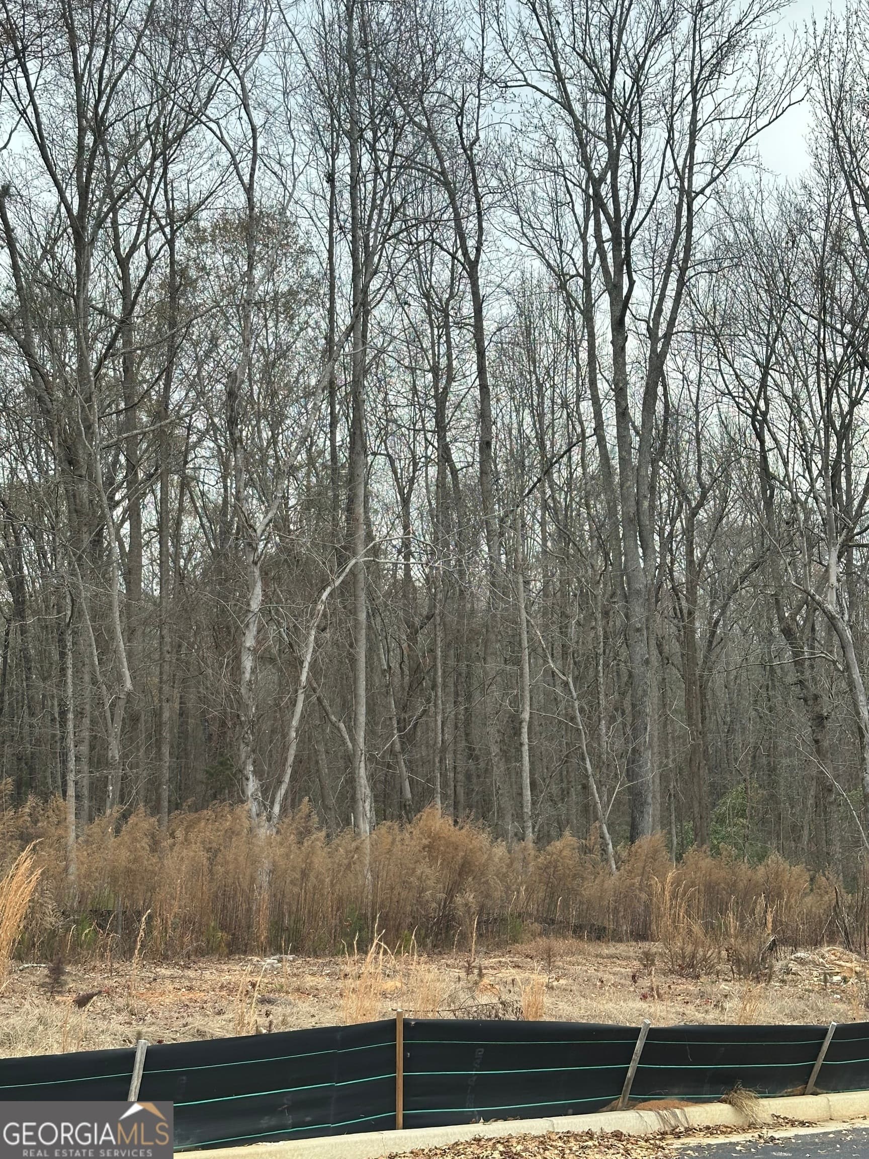 estate lot for sale at 120 EDMONSON Way, Stockbridge, GA 30281 — photo 5