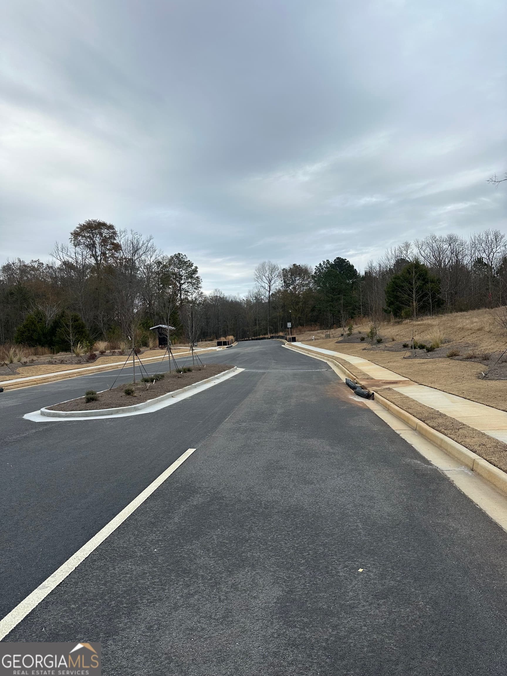 estate lot for sale at 120 EDMONSON Way, Stockbridge, GA 30281 — photo 4