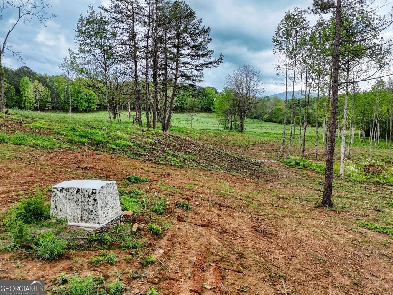 residential lot for sale at 0 Shuler Road, Blairsville, GA 30512 — photo 2