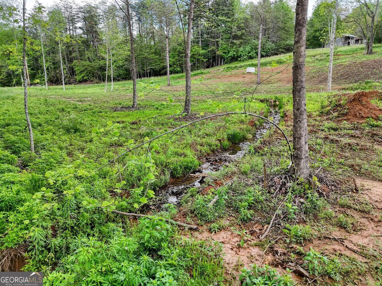 residential lot for sale at 0 Shuler Road, Blairsville, GA 30512 — photo 6