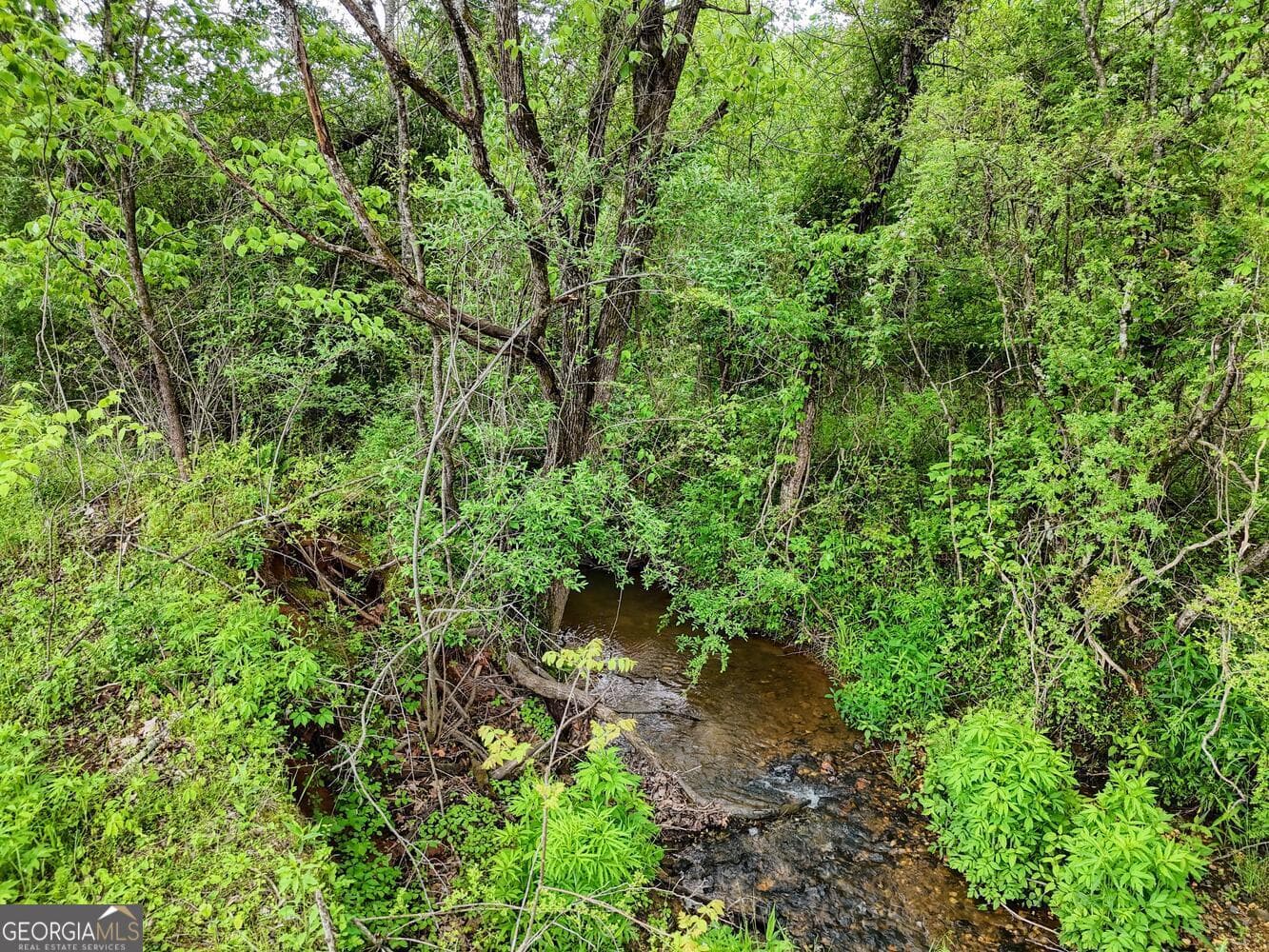 residential lot for sale at 0 Shuler Road, Blairsville, GA 30512 — photo 7