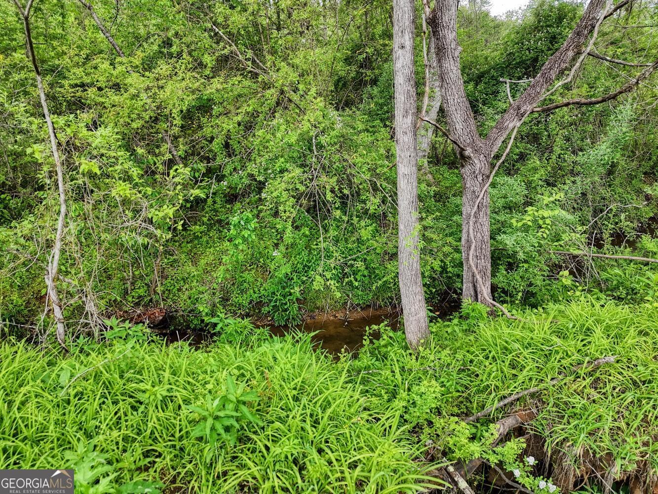 residential lot for sale at 0 Shuler Road, Blairsville, GA 30512 — photo 5