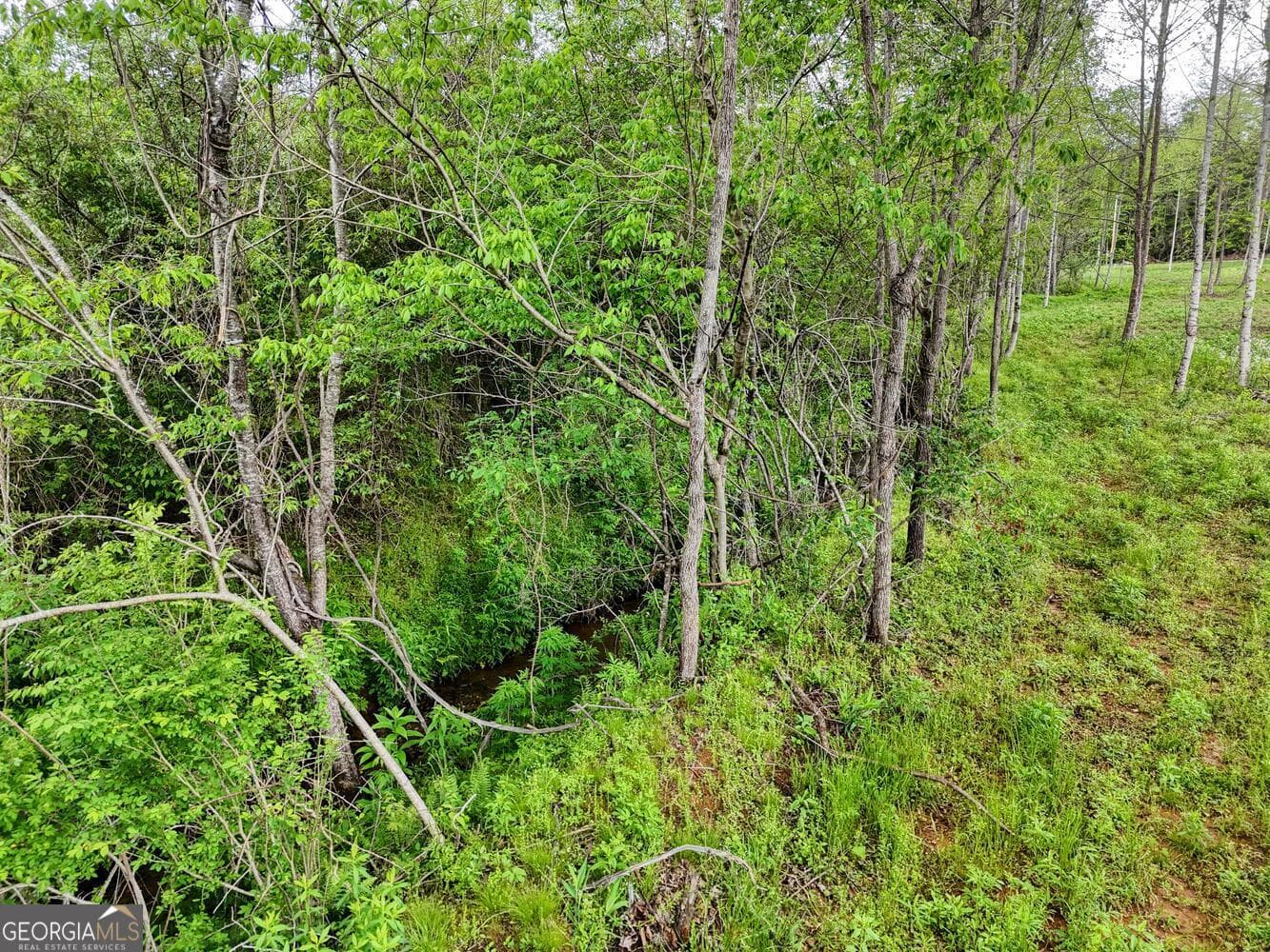 residential lot for sale at 0 Shuler Road, Blairsville, GA 30512 — photo 9
