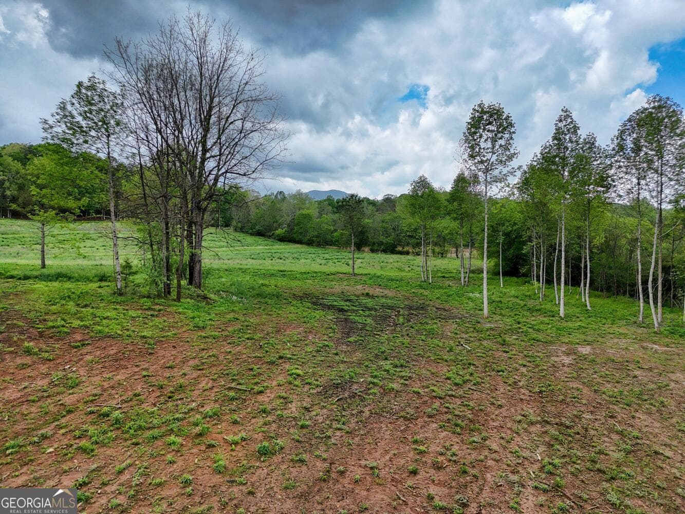 residential lot for sale at 0 Shuler Road, Blairsville, GA 30512 — photo 4
