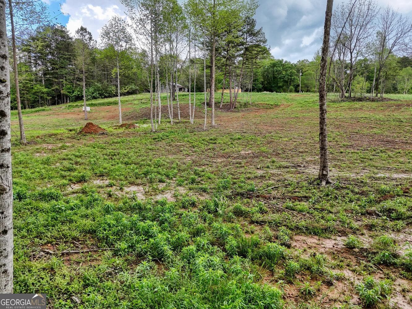 residential lot for sale at 0 Shuler Road, Blairsville, GA 30512 — photo 8