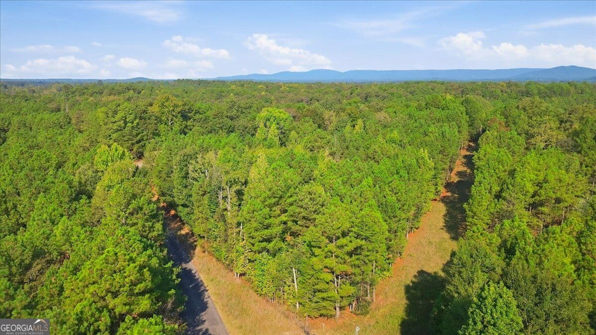 unimproved land for sale at 3371 Morton Bend Road, Rome, GA 30161 — photo 7