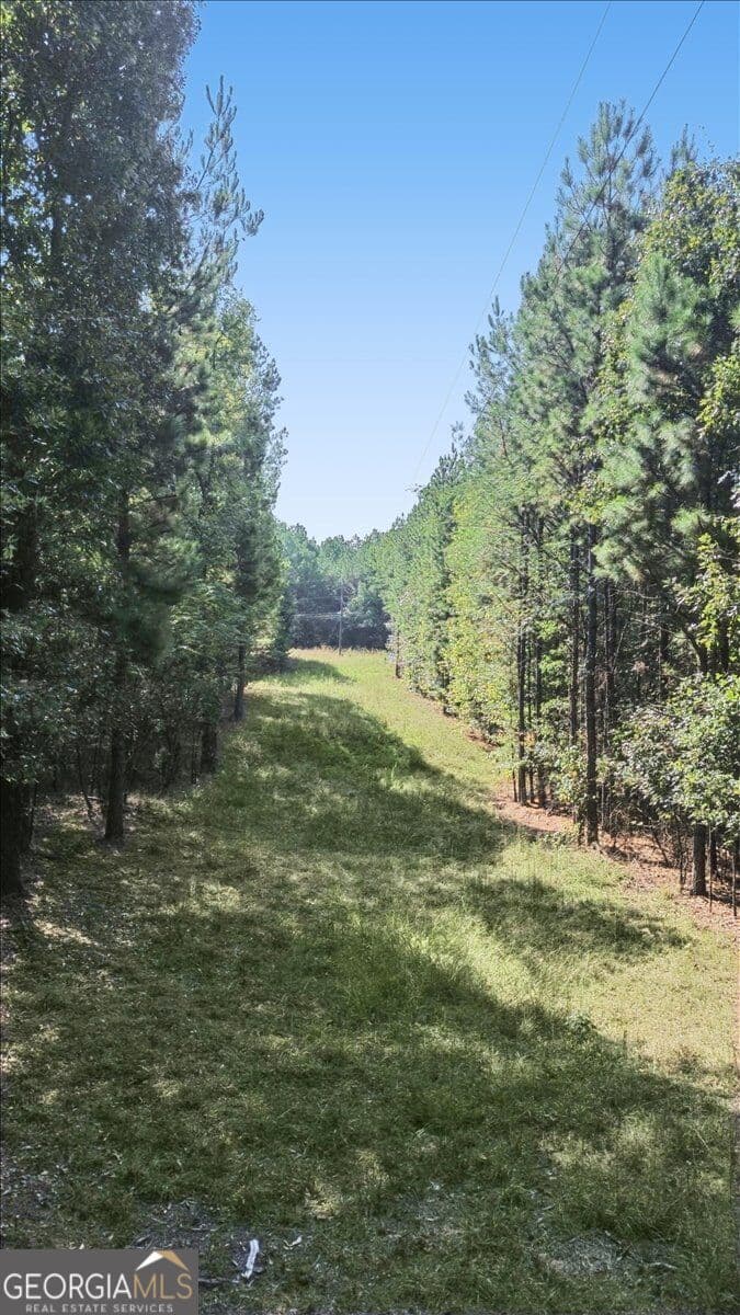 unimproved land for sale at 3371 Morton Bend Road, Rome, GA 30161 — photo 5