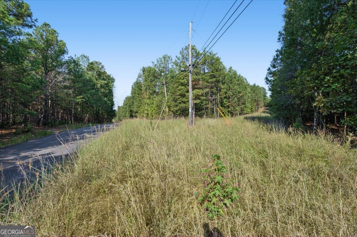 unimproved land for sale at 3371 Morton Bend Road, Rome, GA 30161 — photo 9