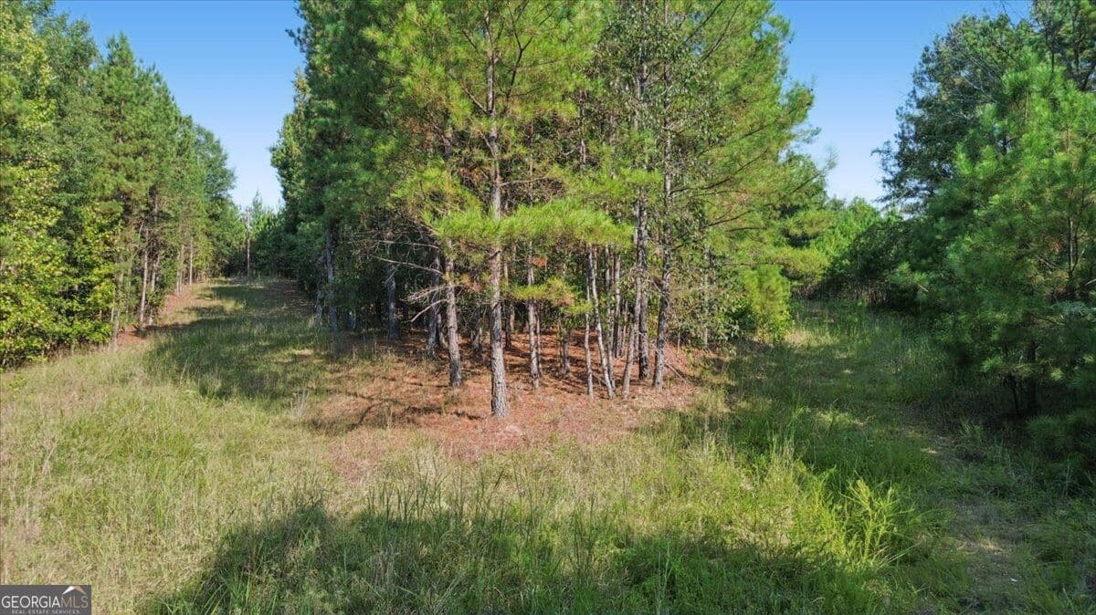 unimproved land for sale at 3371 Morton Bend Road, Rome, GA 30161 — photo 10