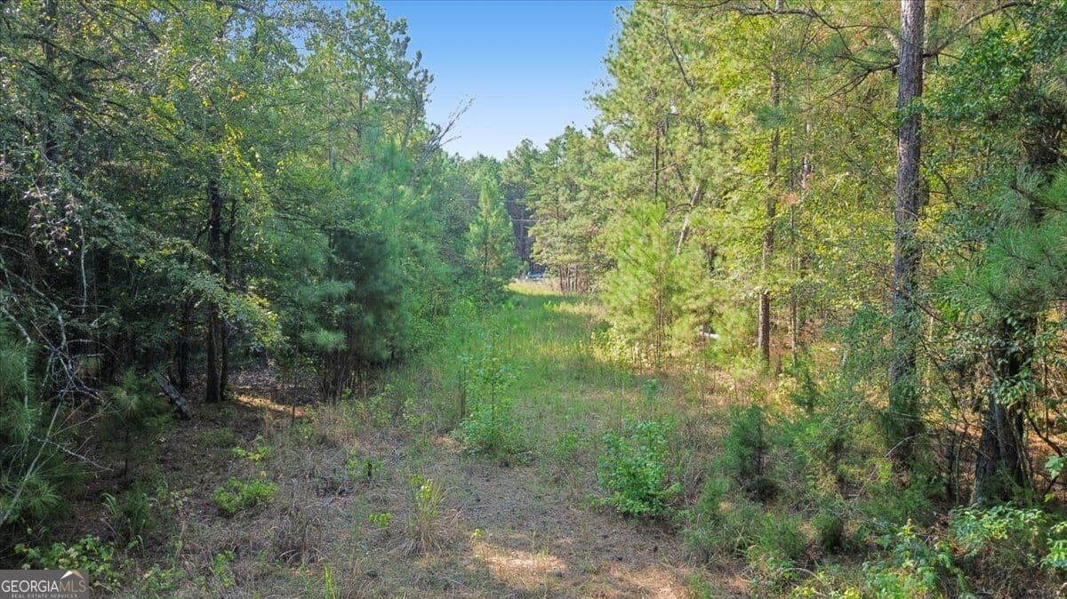 unimproved land for sale at 3371 Morton Bend Road, Rome, GA 30161 — photo 4