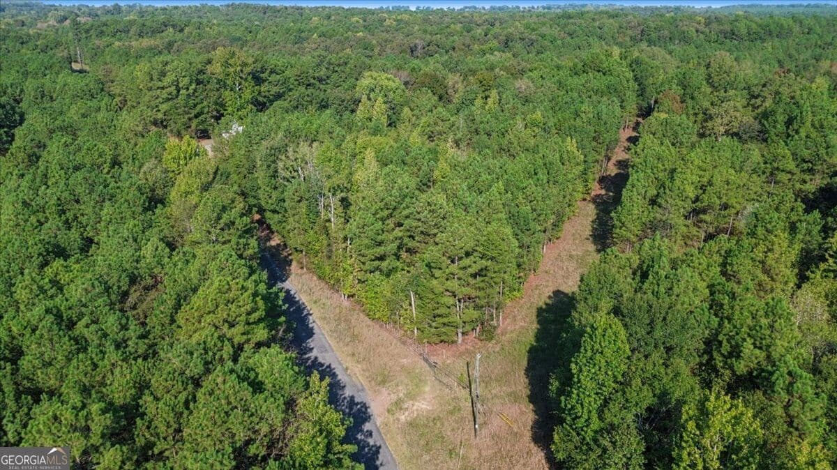 unimproved land for sale at 3371 Morton Bend Road, Rome, GA 30161 — photo 8