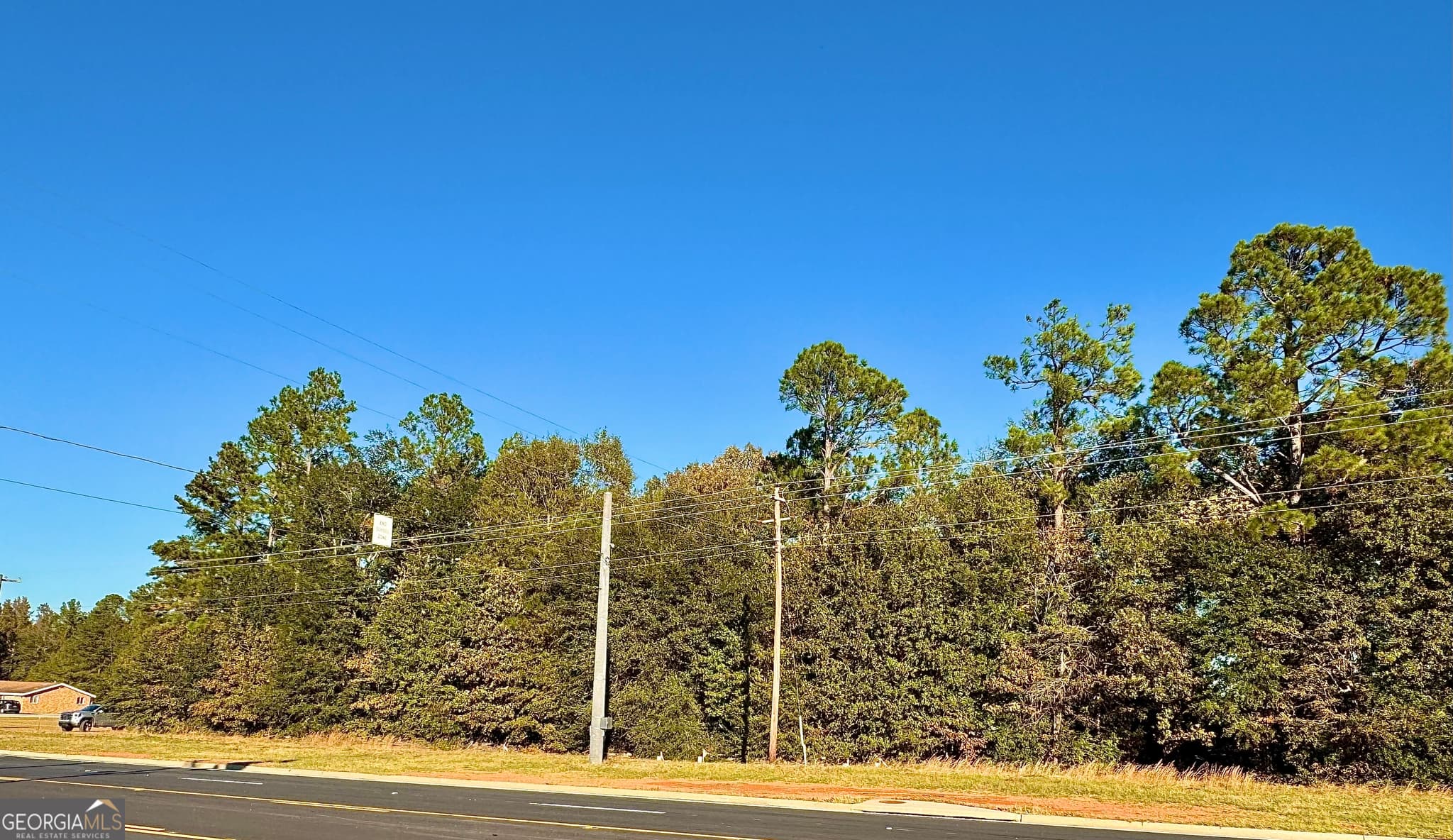unimproved land for sale at * U S Highway 1, Louisville, GA 30434 — photo 2
