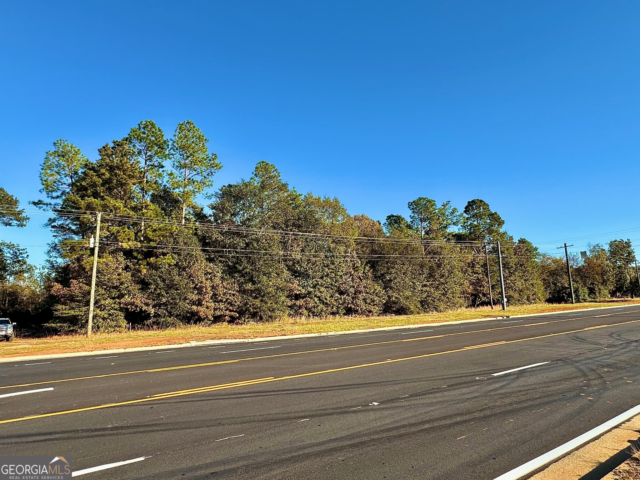 unimproved land for sale at * U S Highway 1, Louisville, GA 30434 — photo 3