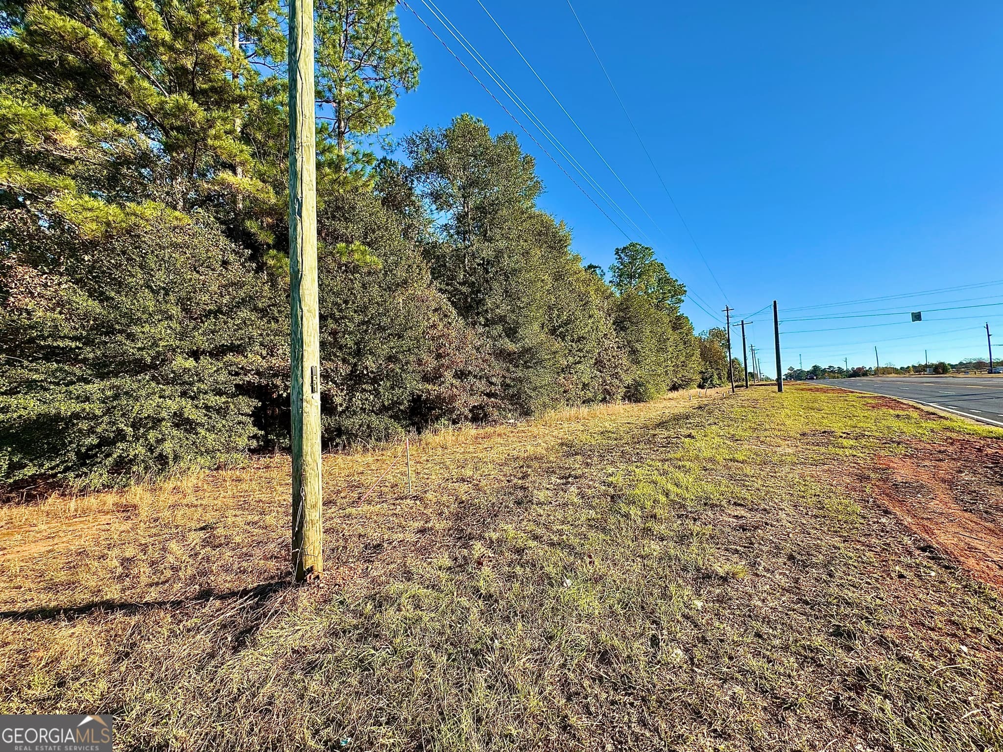 unimproved land for sale at * U S Highway 1, Louisville, GA 30434 — photo 5