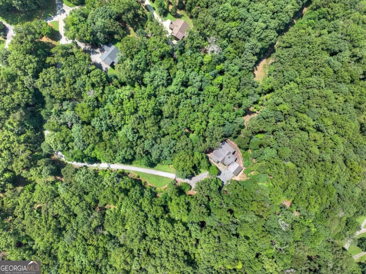 5 bedroom, 3.5 bathroom, 3,882 sq ft cabin,single family residence for sale at 274 Hot House Drive, Mineral Bluff, GA 30559 — photo 4