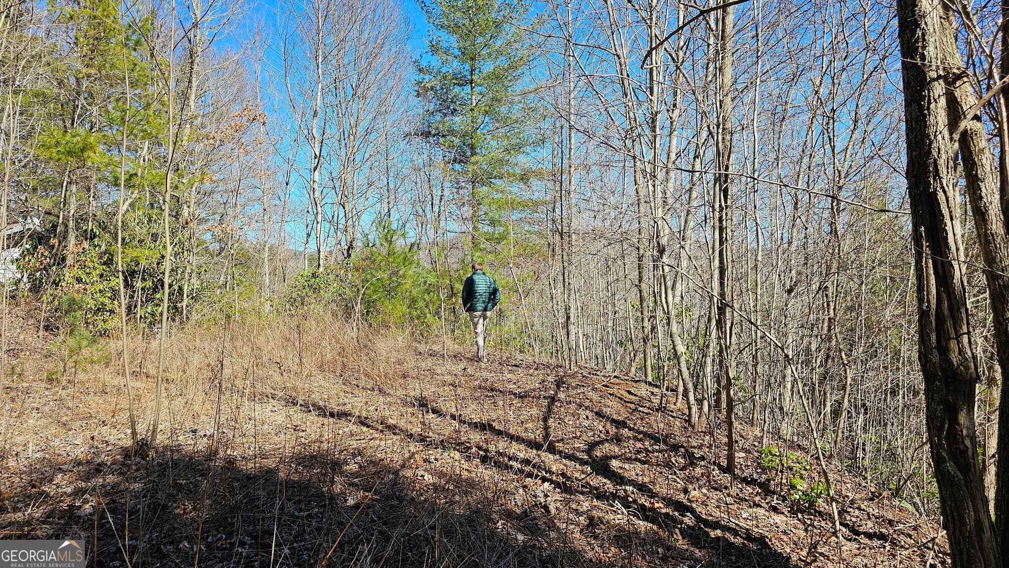 residential lot for sale at 0 Saddleback Circle, Sky Valley, GA 30537 — photo 6
