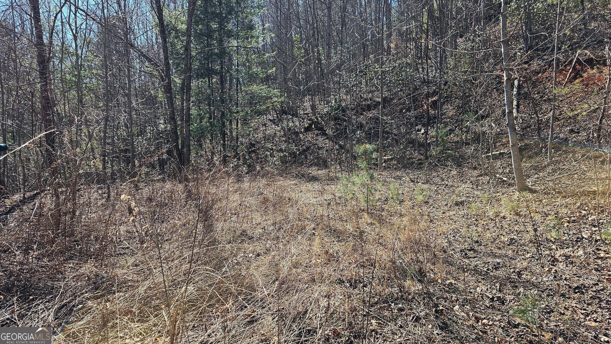 residential lot for sale at 0 Saddleback Circle, Sky Valley, GA 30537 — photo 3