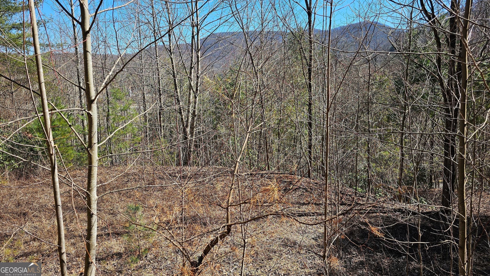 residential lot for sale at 0 Saddleback Circle, Sky Valley, GA 30537 — photo 9