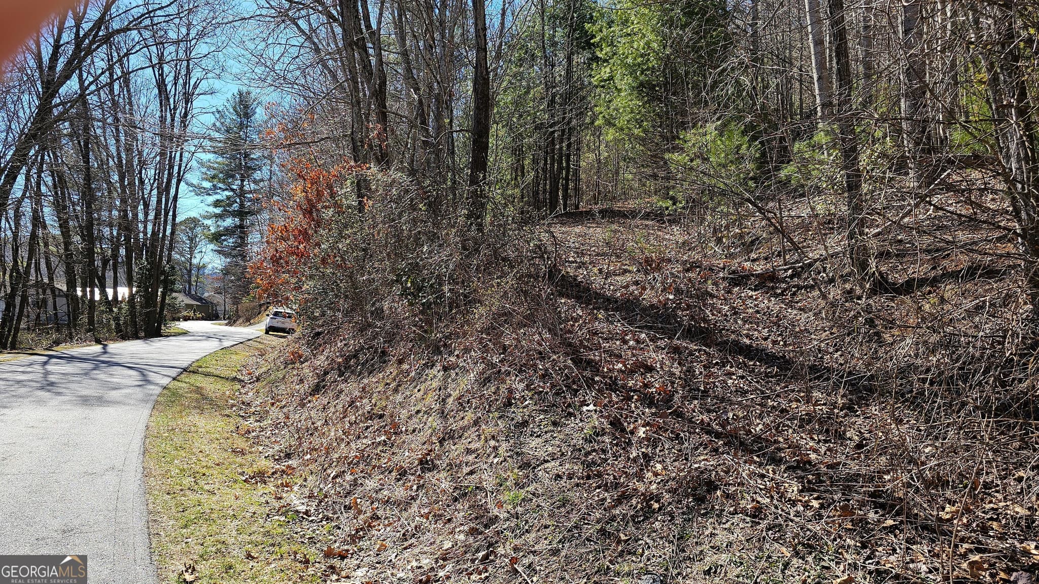 residential lot for sale at 0 Saddleback Circle, Sky Valley, GA 30537 — photo 10