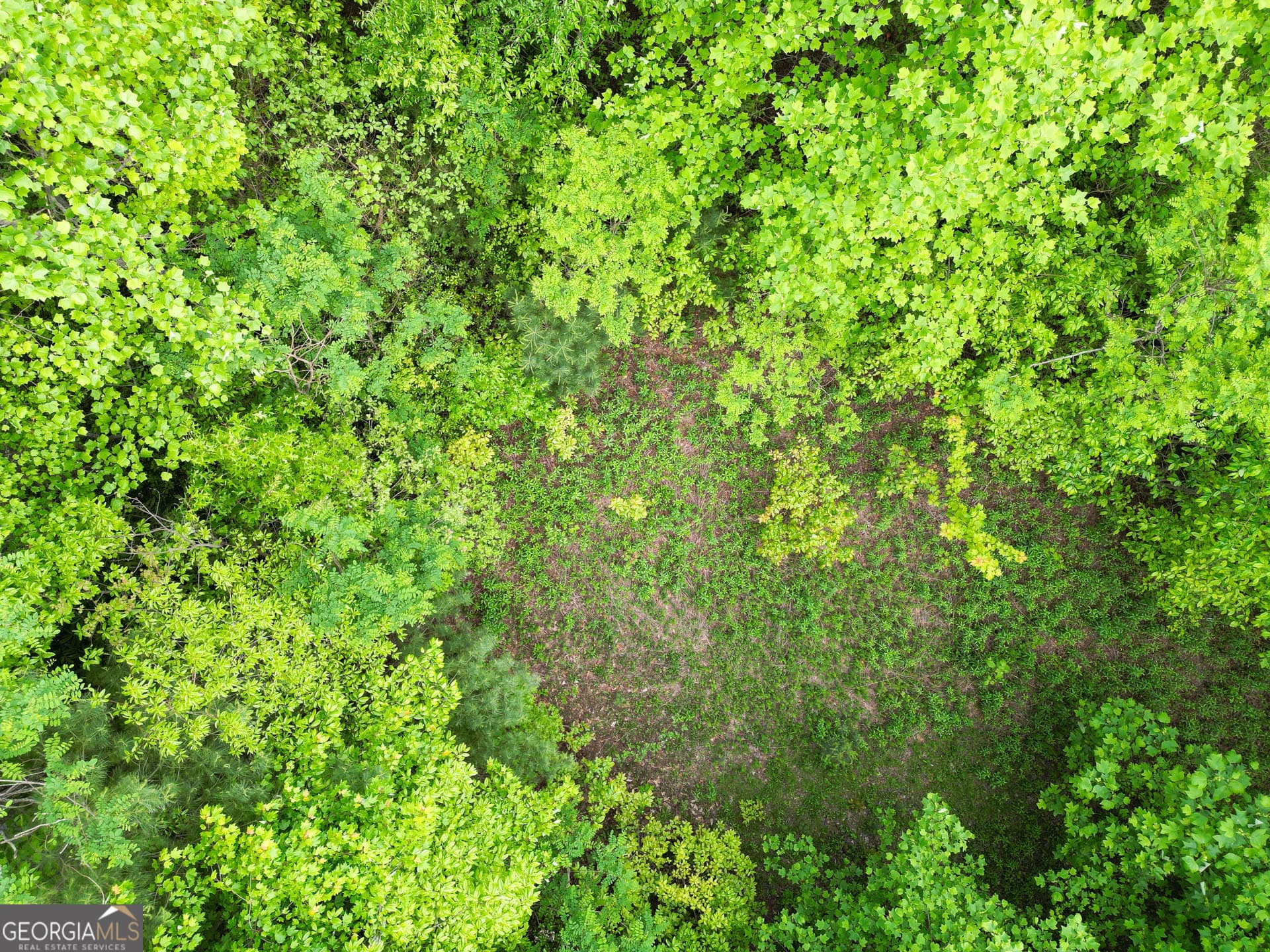 residential lot for sale at 0 Saddleback Circle, Sky Valley, GA 30537 — photo 8