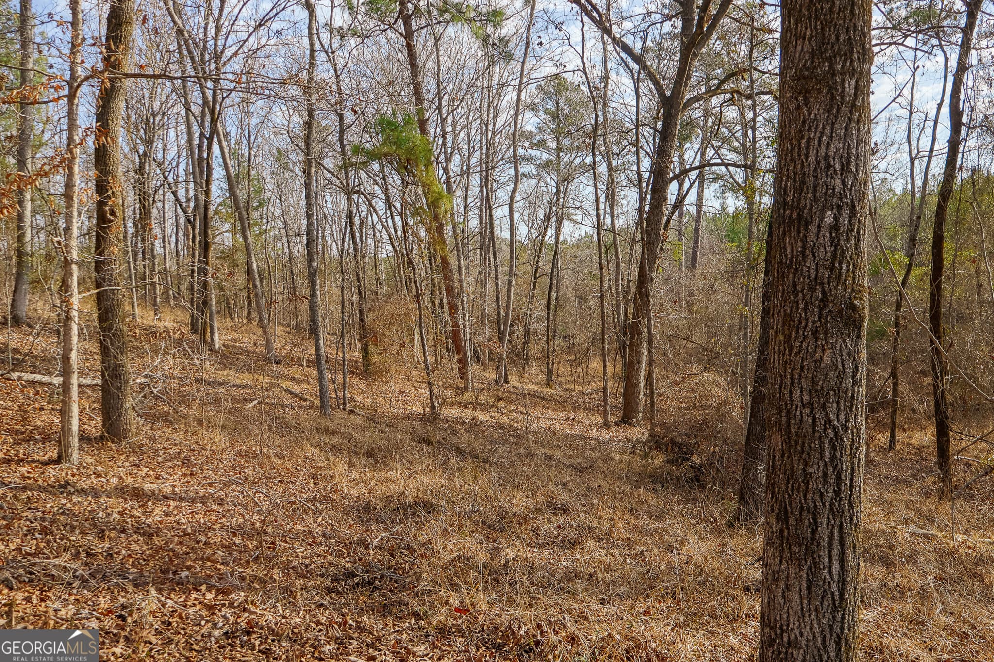 unimproved land for sale at 2729 Hadden Pond Road, Avera, GA 30803 — photo 7