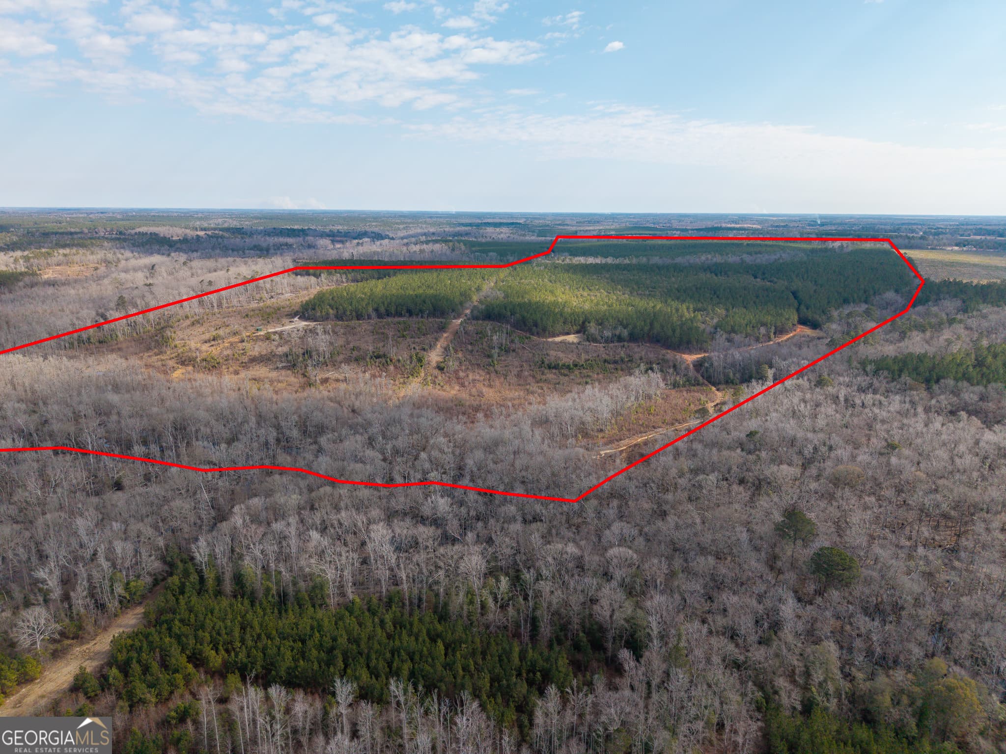 unimproved land for sale at 2729 Hadden Pond Road, Avera, GA 30803 — photo 3