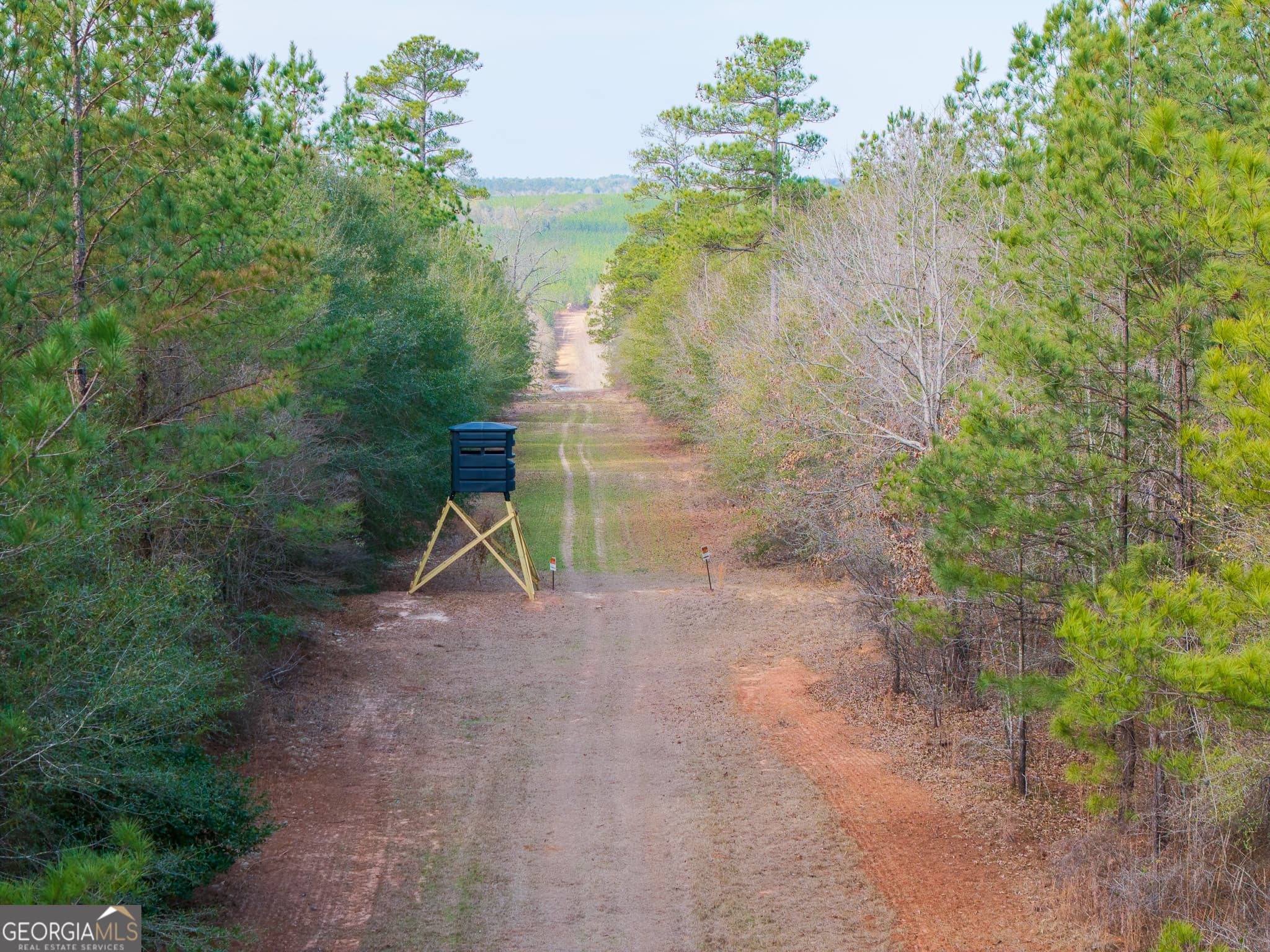 unimproved land for sale at 2729 Hadden Pond Road, Avera, GA 30803 — photo 1 of 69
