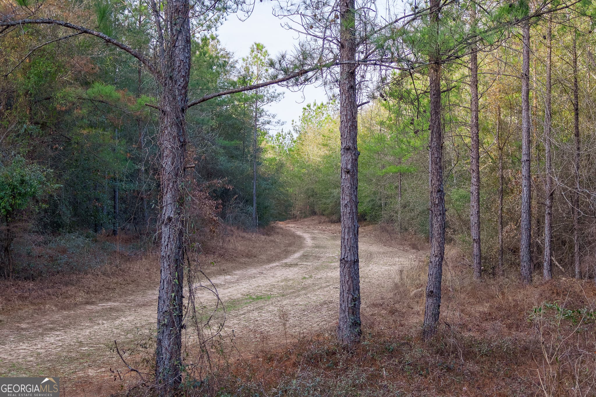 unimproved land for sale at 2729 Hadden Pond Road, Avera, GA 30803 — photo 10