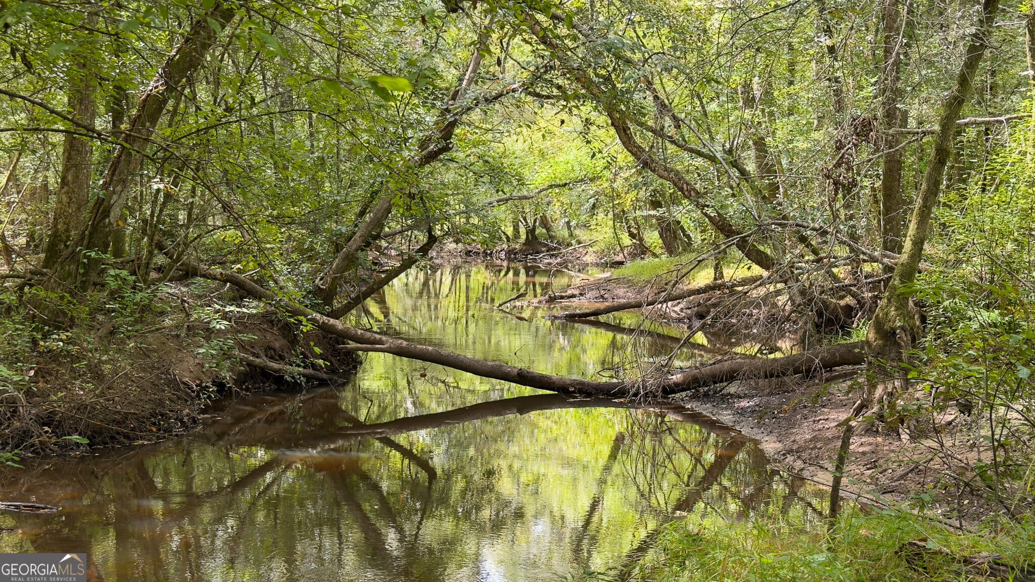 unimproved land for sale at 2729 Hadden Pond Road, Avera, GA 30803 — photo 8