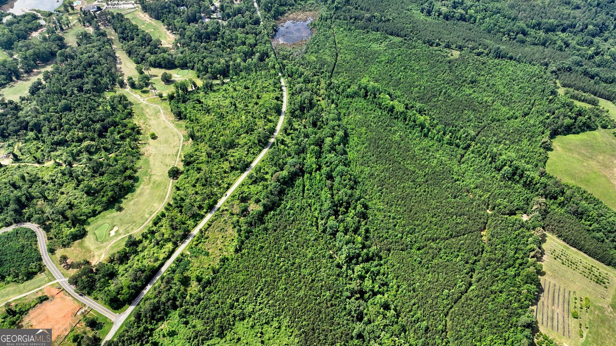 agriculture for sale at 222 N Pine Hill Road, Griffin, GA 30223 — photo 3