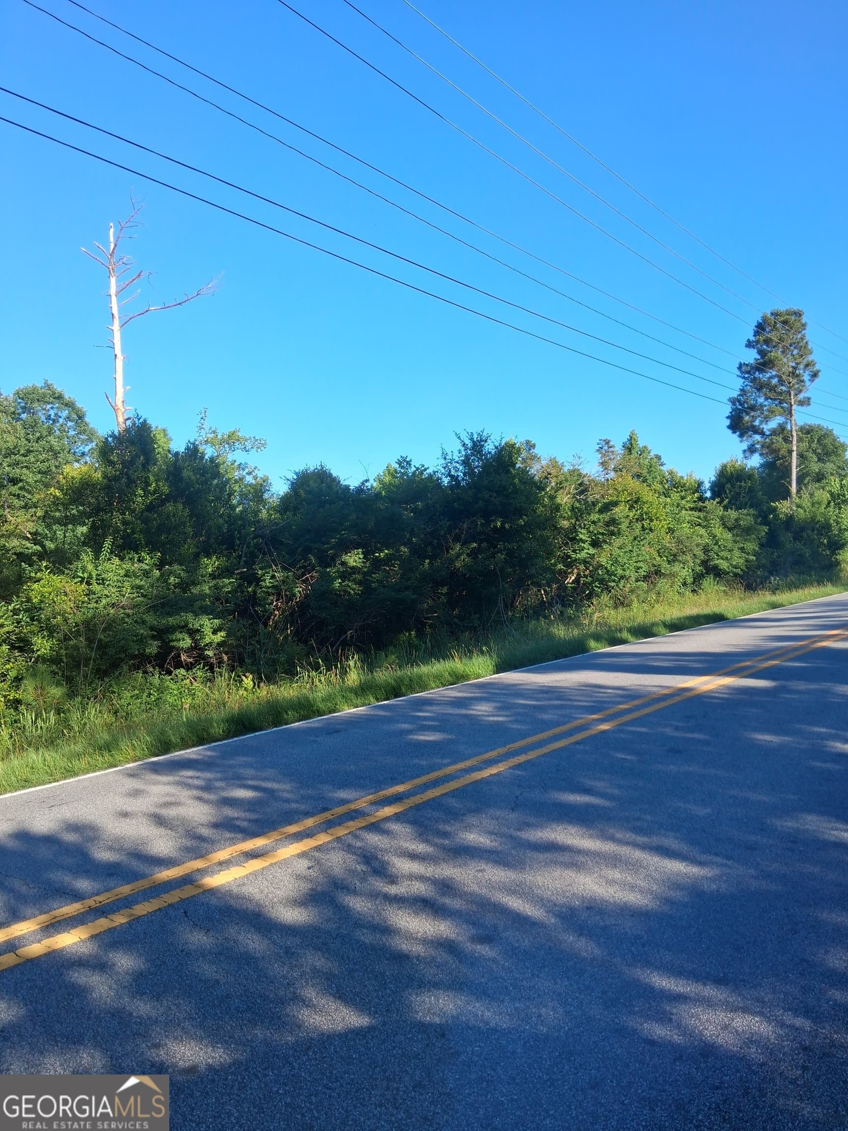 agriculture for sale at 222 N Pine Hill Road, Griffin, GA 30223 — photo 10
