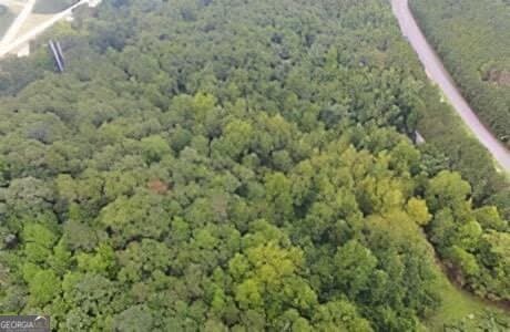 unimproved land for sale at 0 Bluffs Parkway, Canton, GA 30114 — photo 4
