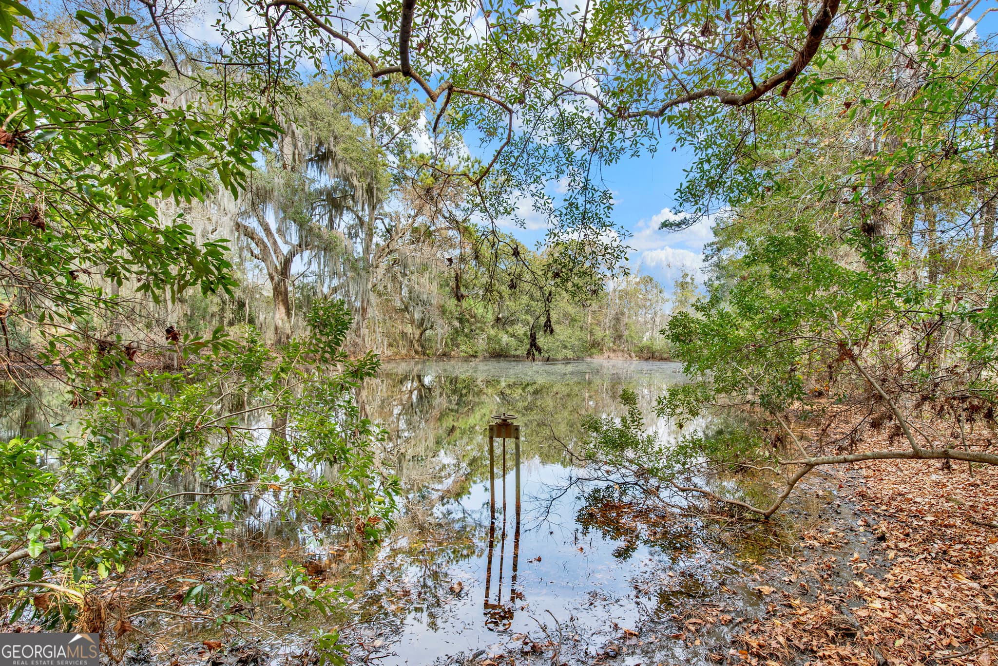 residential lot for sale at 181 Burton Road, Savannah, GA 31405 — photo 2