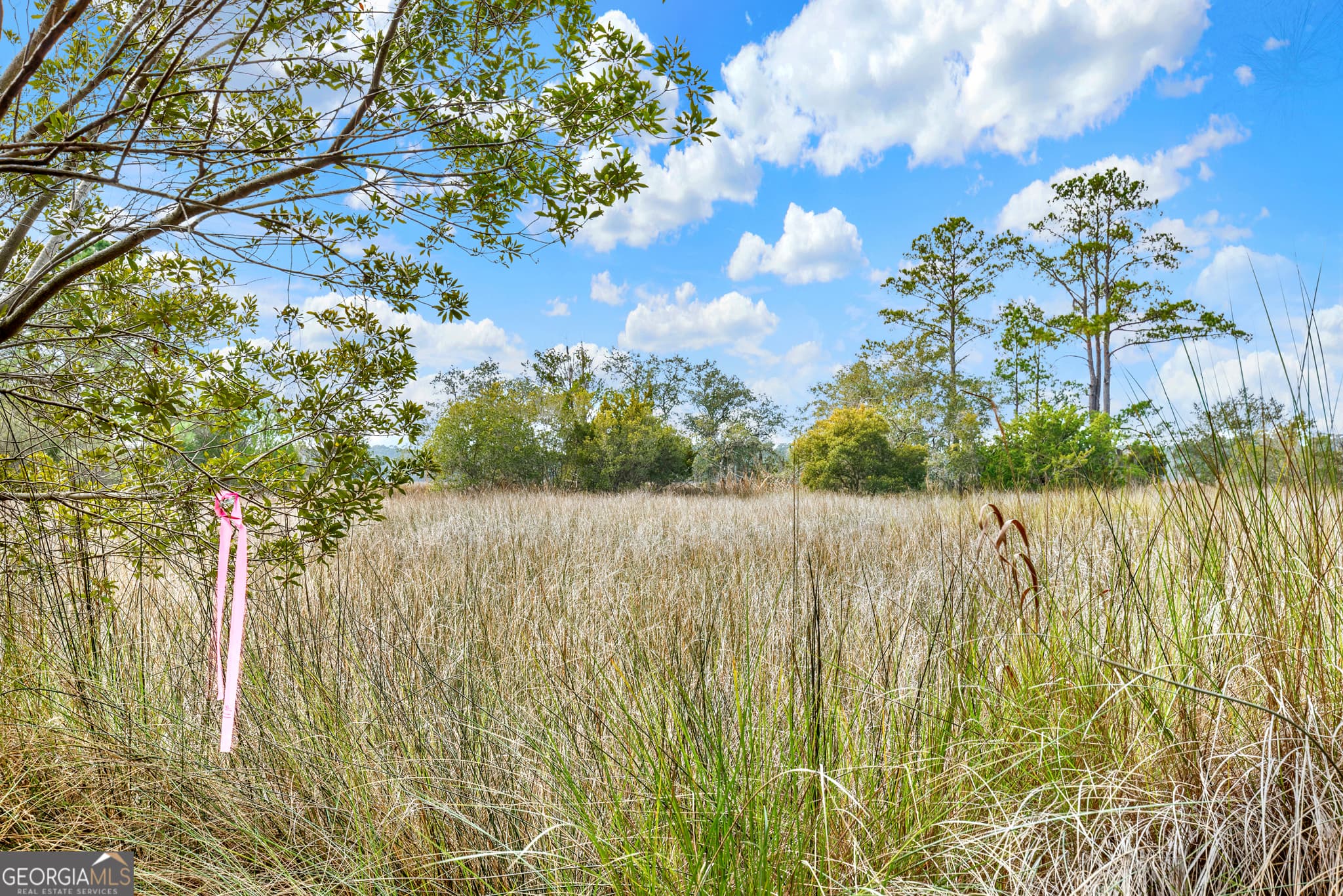 residential lot for sale at 181 Burton Road, Savannah, GA 31405 — photo 6