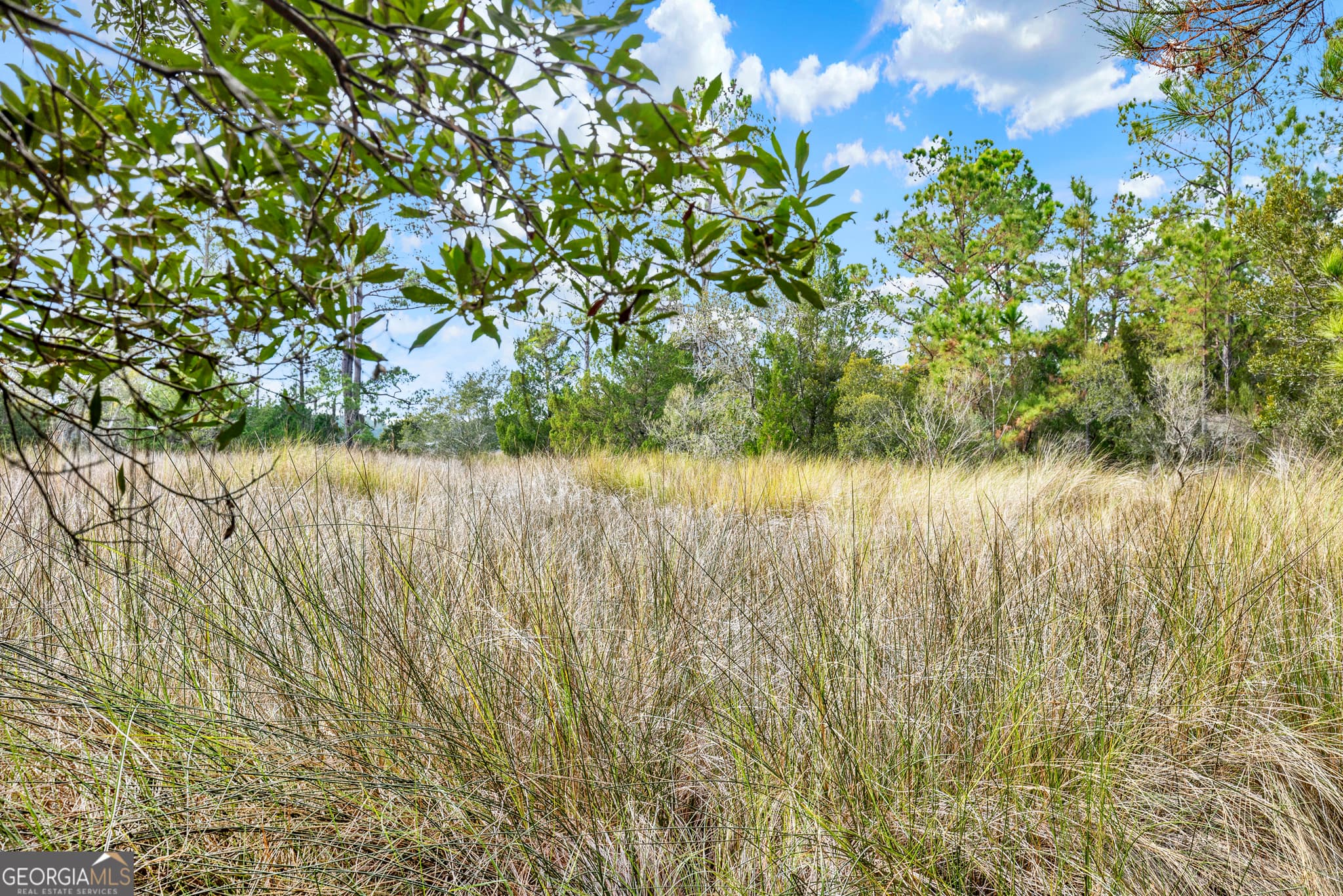 residential lot for sale at 181 Burton Road, Savannah, GA 31405 — photo 7