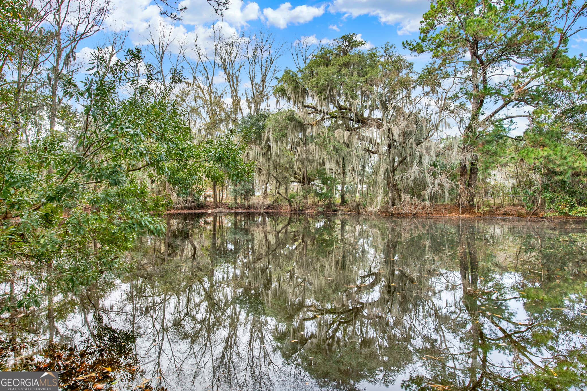 residential lot for sale at 181 Burton Road, Savannah, GA 31405 — photo 3