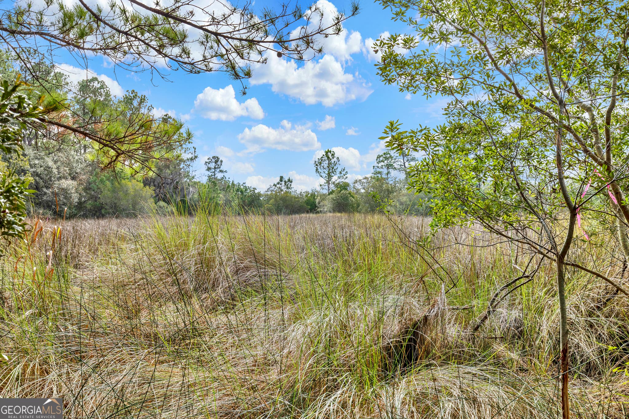 residential lot for sale at 181 Burton Road, Savannah, GA 31405 — photo 9