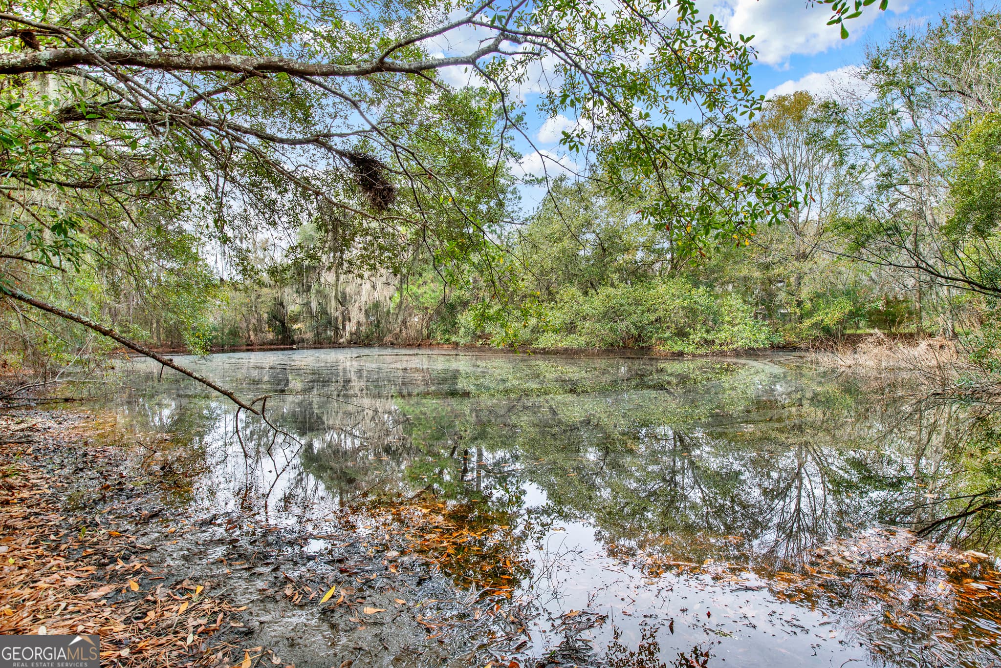 residential lot for sale at 181 Burton Road, Savannah, GA 31405 — photo 4