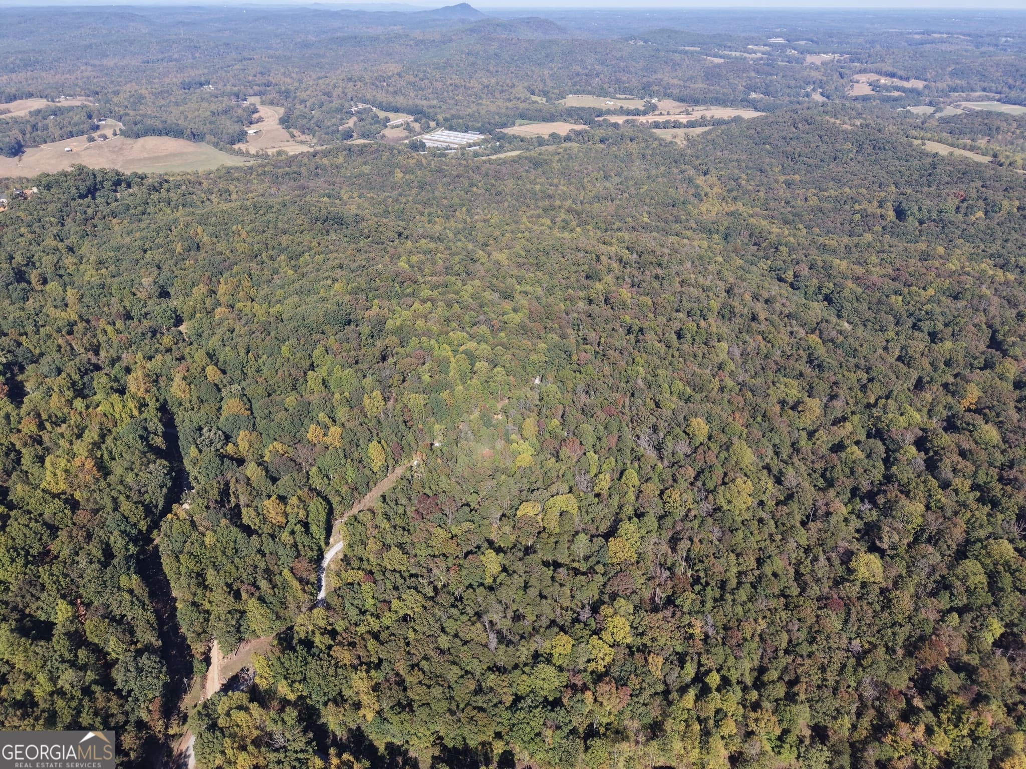 unimproved land for sale at 52 AC Soapstone Road, Baldwin, GA 30511 — photo 6