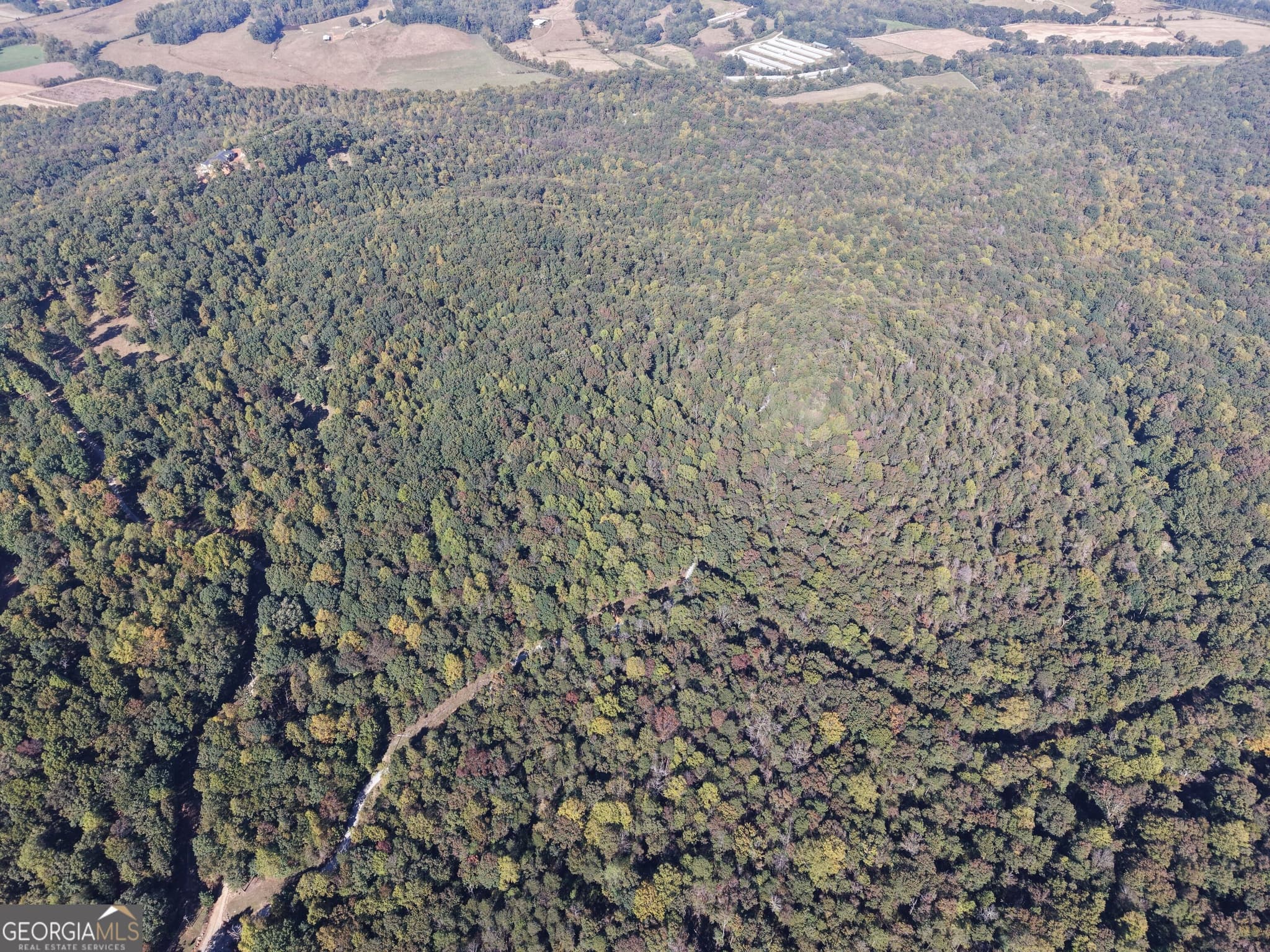 unimproved land for sale at 52 AC Soapstone Road, Baldwin, GA 30511 — photo 7