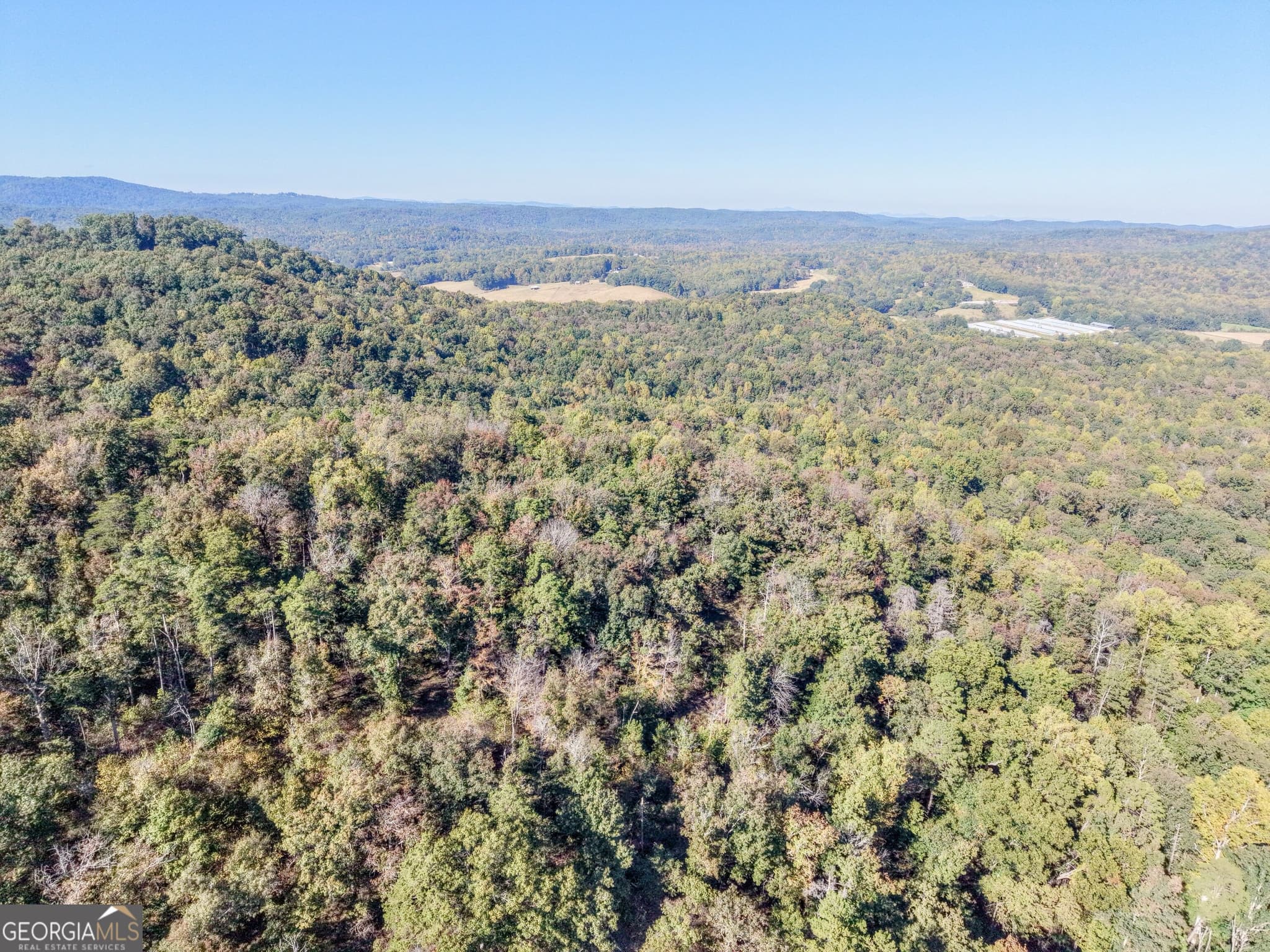 unimproved land for sale at 52 AC Soapstone Road, Baldwin, GA 30511 — photo 3