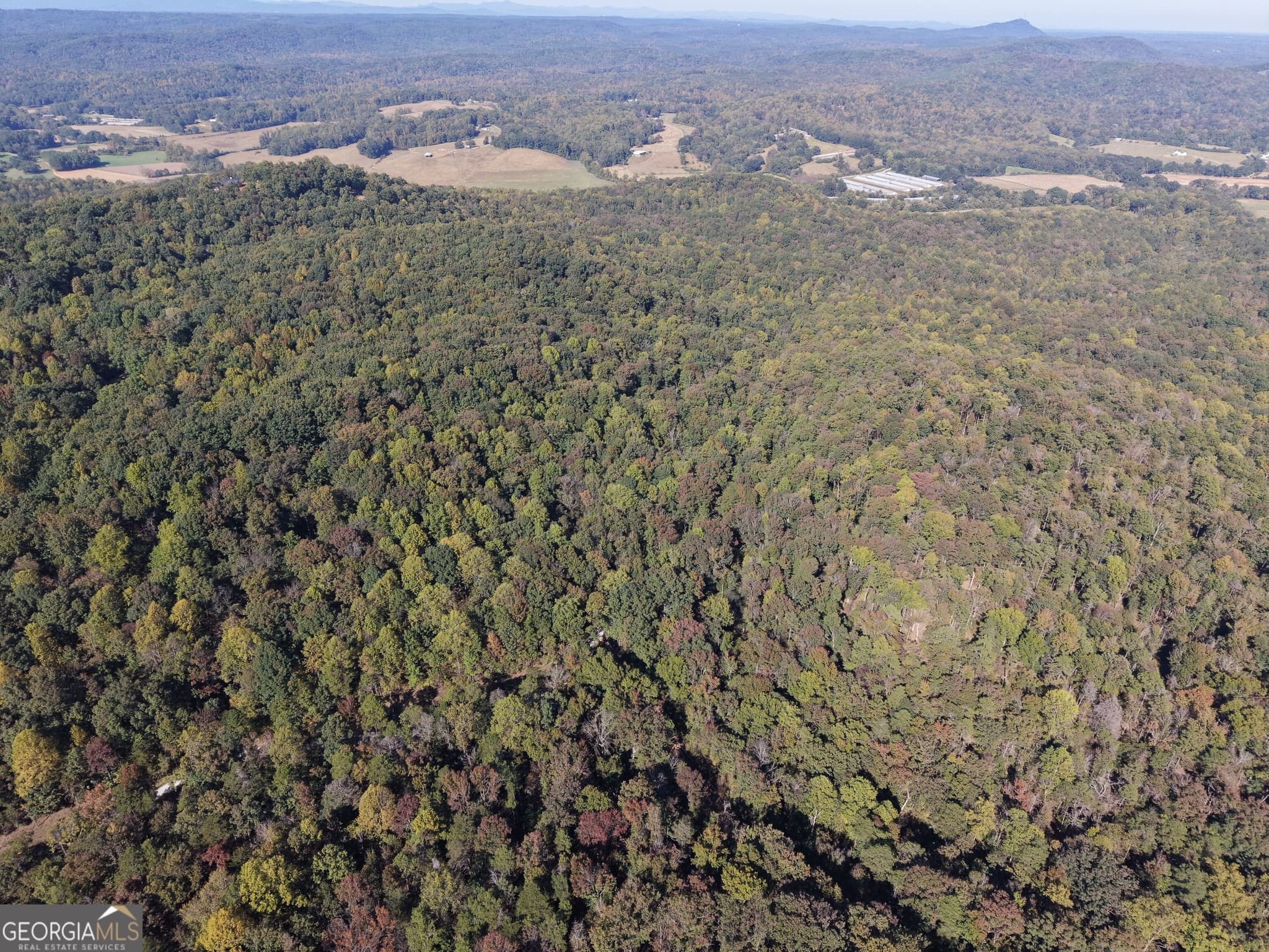 unimproved land for sale at 52 AC Soapstone Road, Baldwin, GA 30511 — photo 5