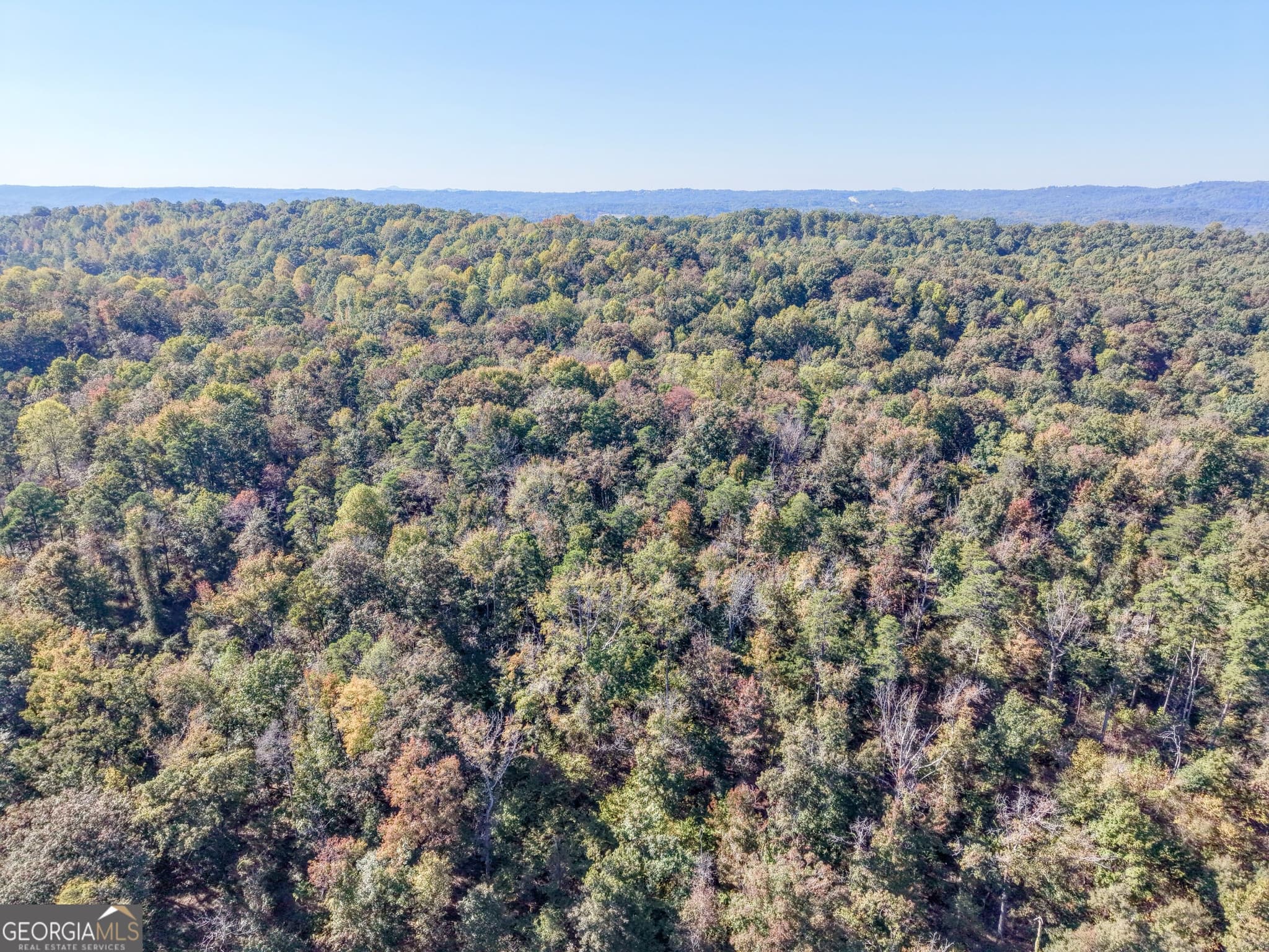 unimproved land for sale at 52 AC Soapstone Road, Baldwin, GA 30511 — photo 4