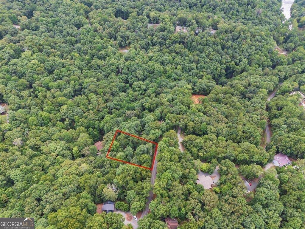 residential lot for sale at LOT674 Riverview Drive, Ellijay, GA 30540 — photo 2