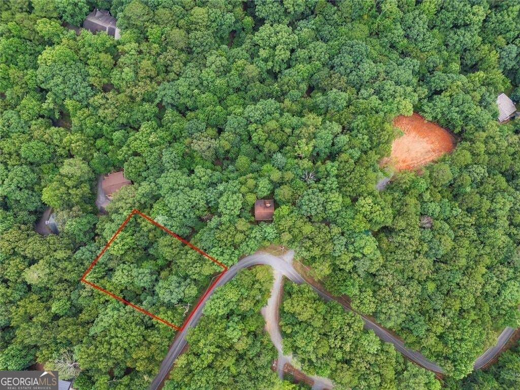 residential lot for sale at LOT674 Riverview Drive, Ellijay, GA 30540 — photo 6