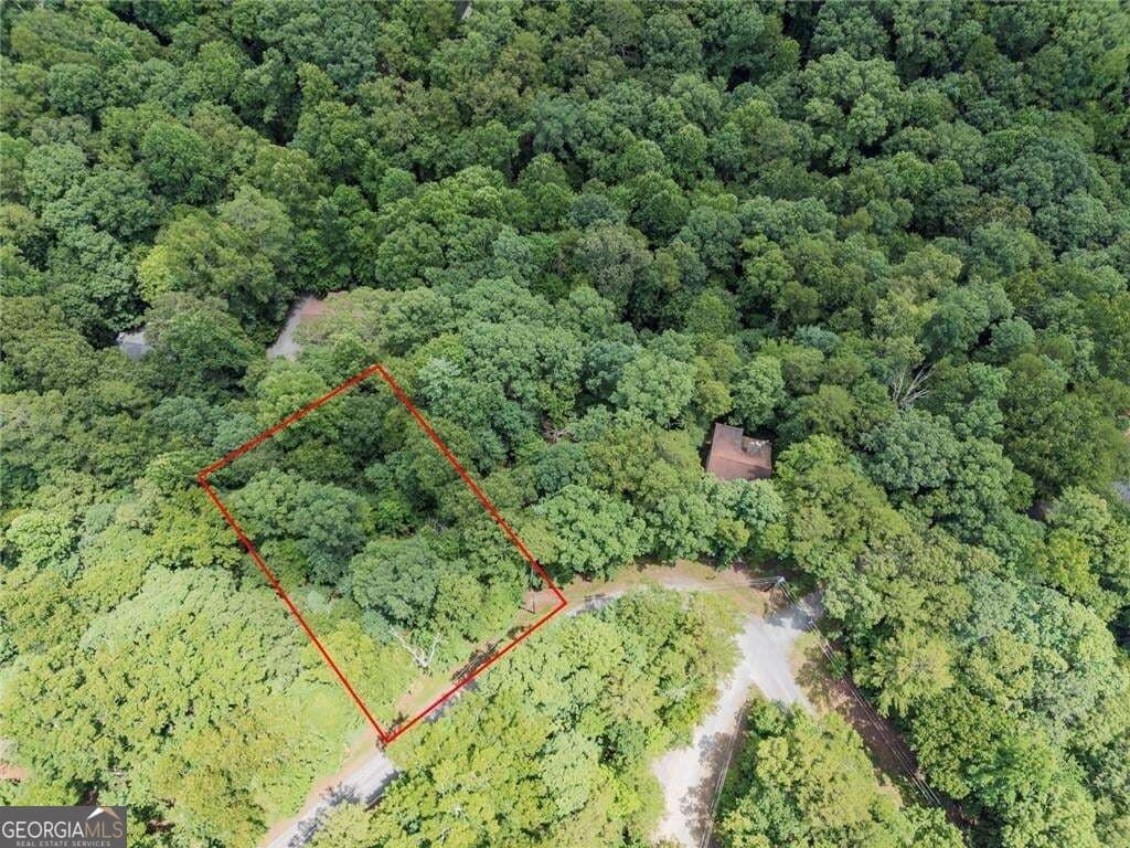 residential lot for sale at LOT674 Riverview Drive, Ellijay, GA 30540 — photo 7