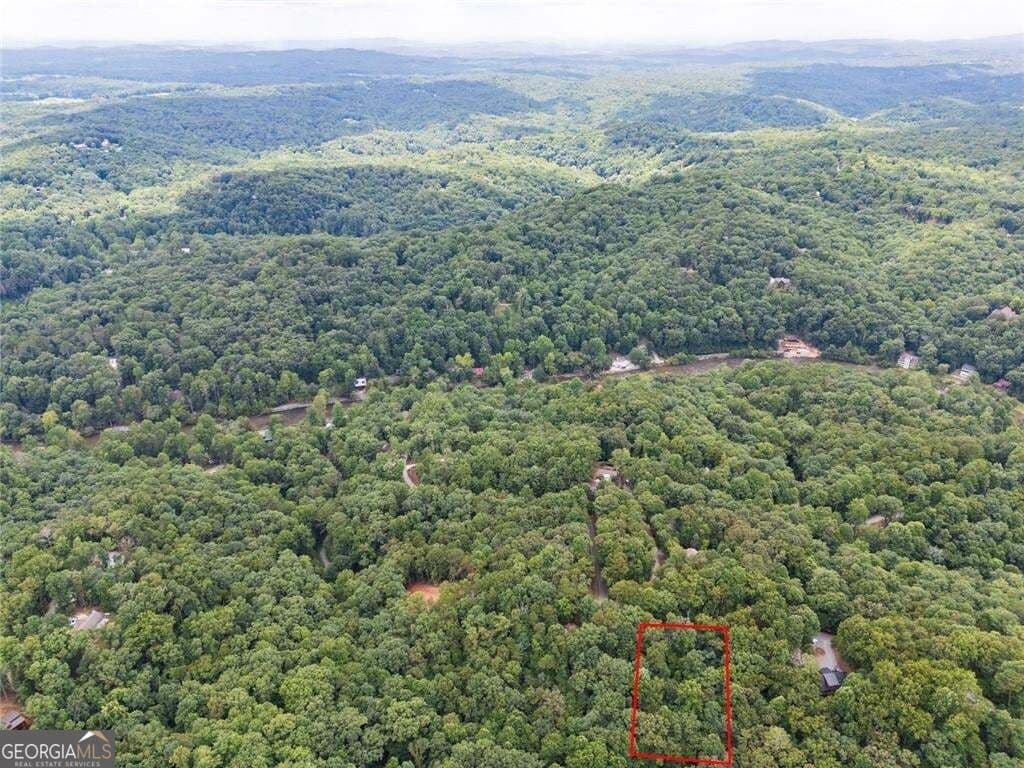 residential lot for sale at LOT674 Riverview Drive, Ellijay, GA 30540 — photo 3