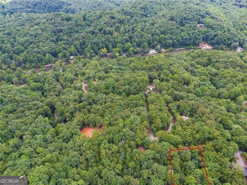 residential lot for sale at LOT674 Riverview Drive, Ellijay, GA 30540 — photo 5