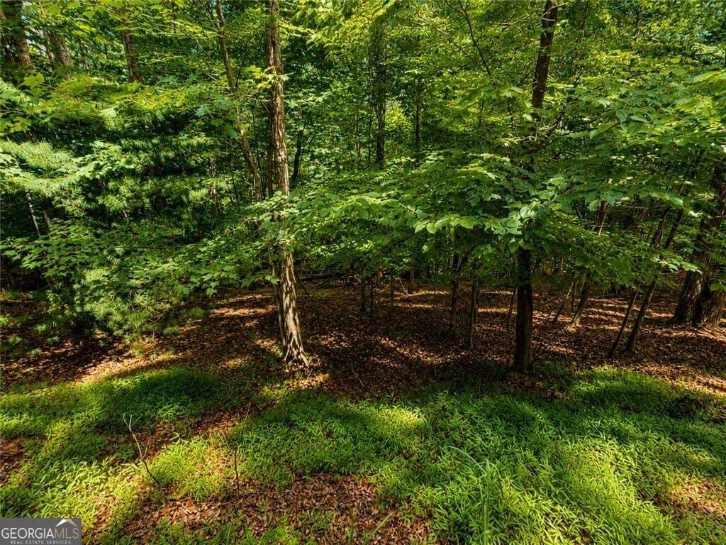 residential lot for sale at LOT674 Riverview Drive, Ellijay, GA 30540 — photo 9