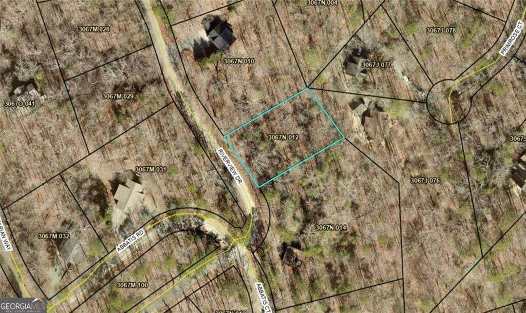 residential lot for sale at LOT674 Riverview Drive, Ellijay, GA 30540 — photo 10